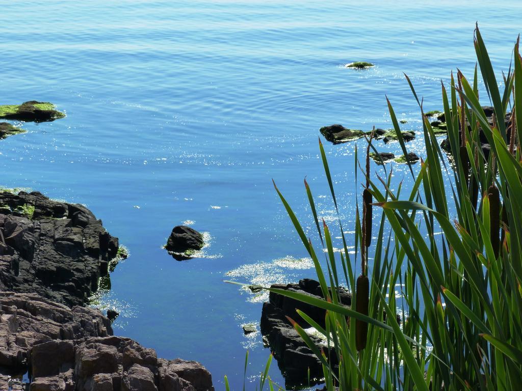Sea View Apartments Sozopol Exterior foto
