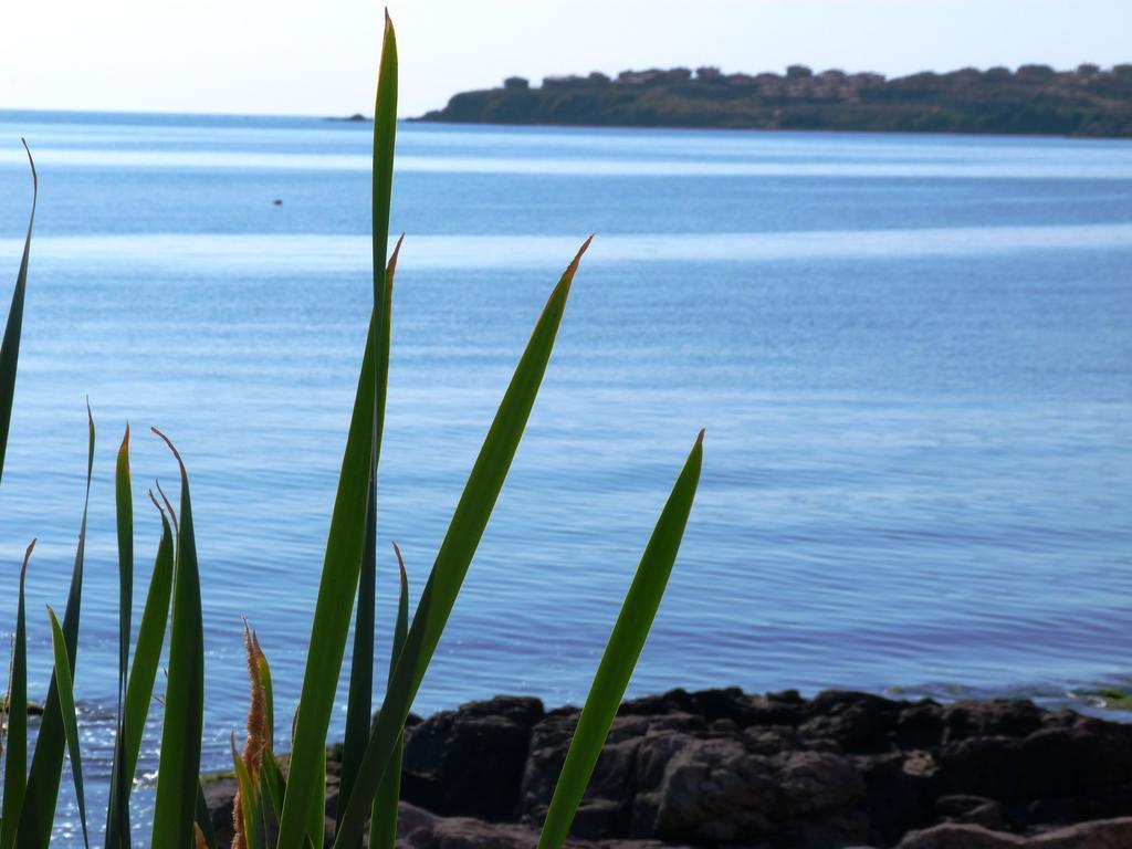 Sea View Apartments Sozopol Habitación foto